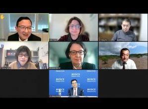 Roundtable Discussion “Prospects of Climate Policies and Cooperation: The Expectations of COP 27”